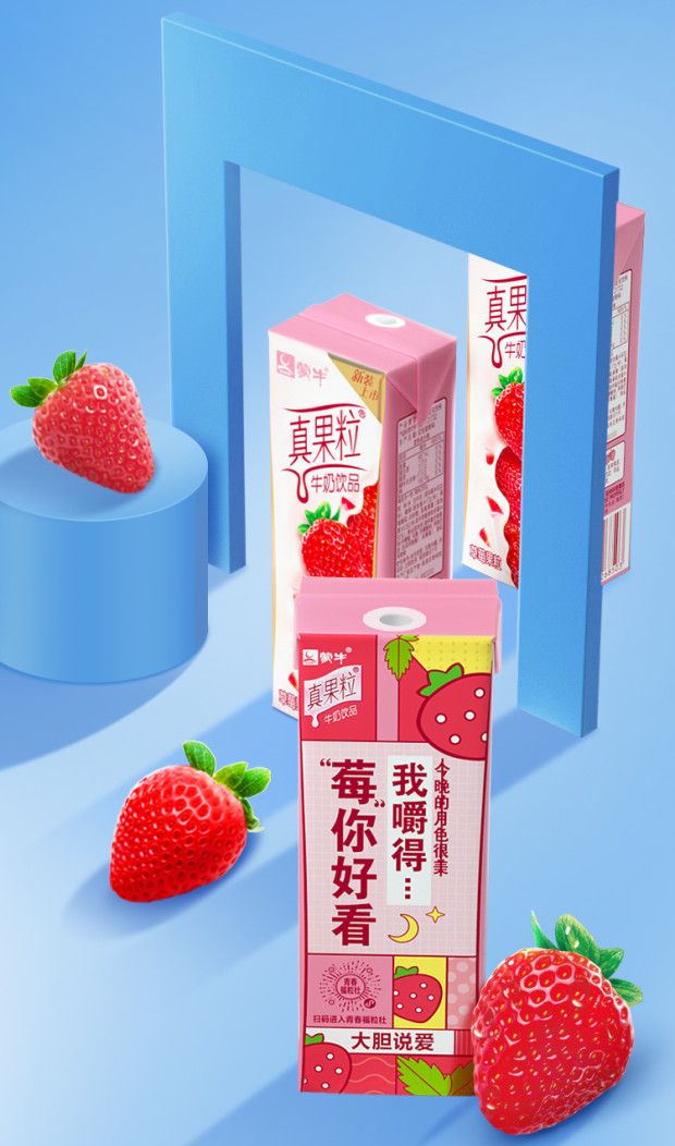 蒙牛真果粒酸奶250g*12盒草莓蓝莓早餐牛奶整箱批发 草莓口味*1箱
