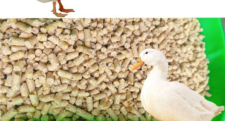 鸭子饲料鸭饲料 小鸭饲料颗粒开口料小鸭子小鸡鹅鹌鹑鸟鸽细颗粒饲料