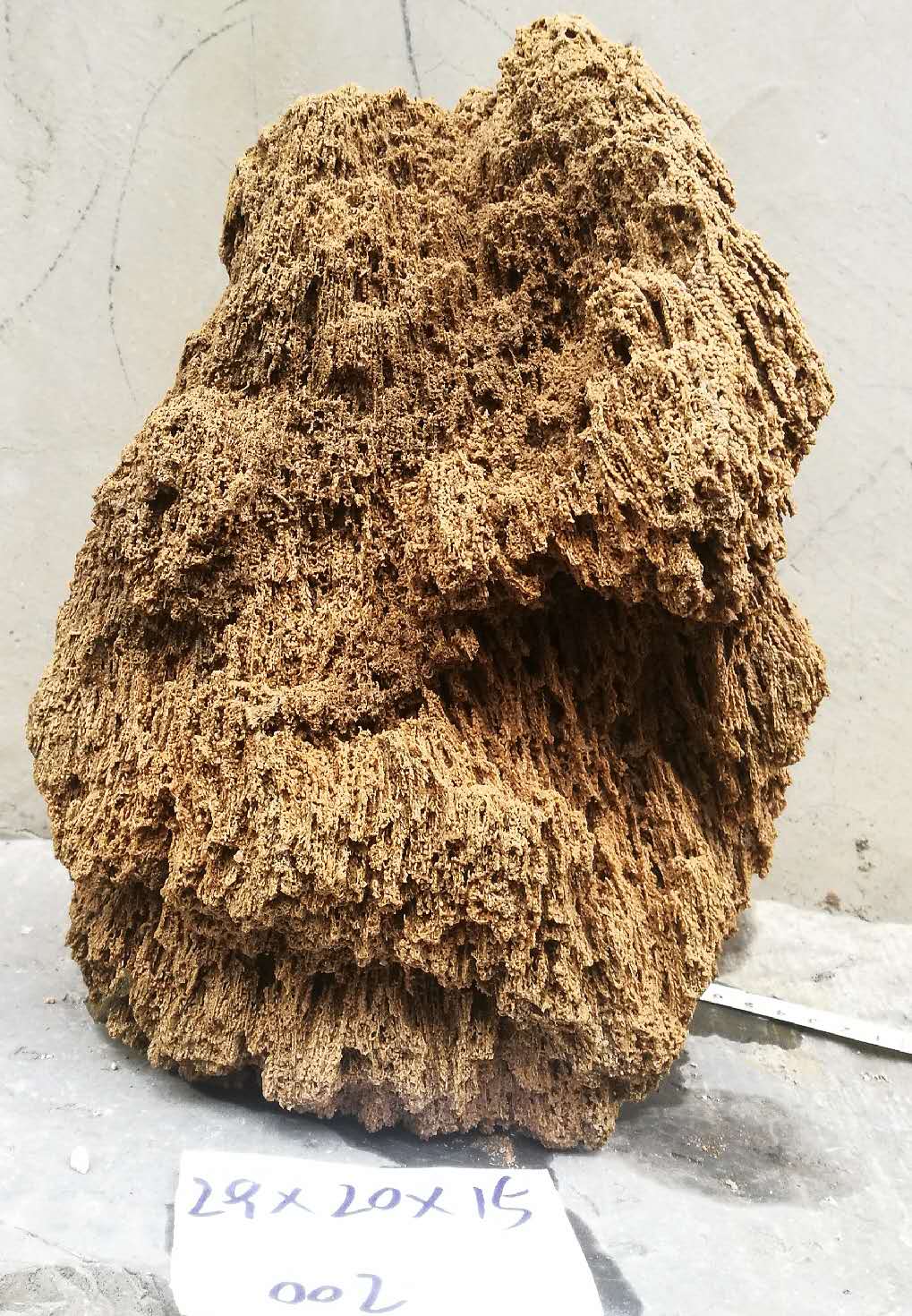 钟乳石假山 麦管石吸水石上水天然原石植物假山盆景钟乳毛料石水秀奇