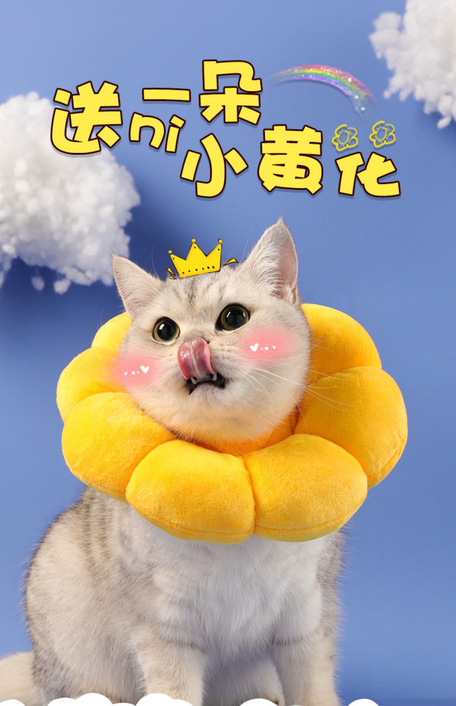 drontal猫咪项圈伊丽莎白圈围脖狗狗防舔软头套伊莉伊利沙白绝育用品