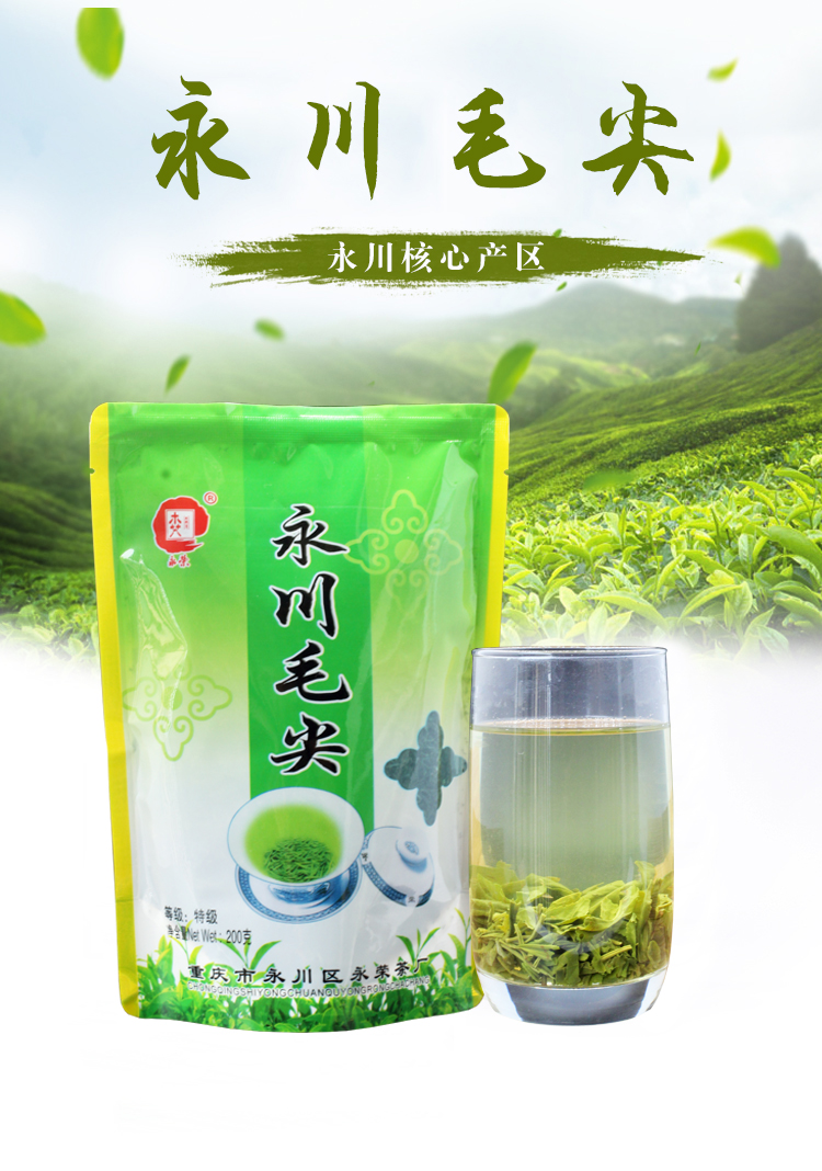 永荣永川毛尖茶明前高山云雾早春茶绿茶重庆特产春茶叶永荣永川毛尖