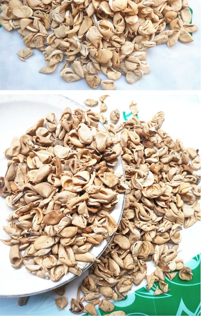 扁豆衣中药原材料扁豆衣白扁豆衣白扁豆壳扁豆花白扁豆皮500克 扁豆衣