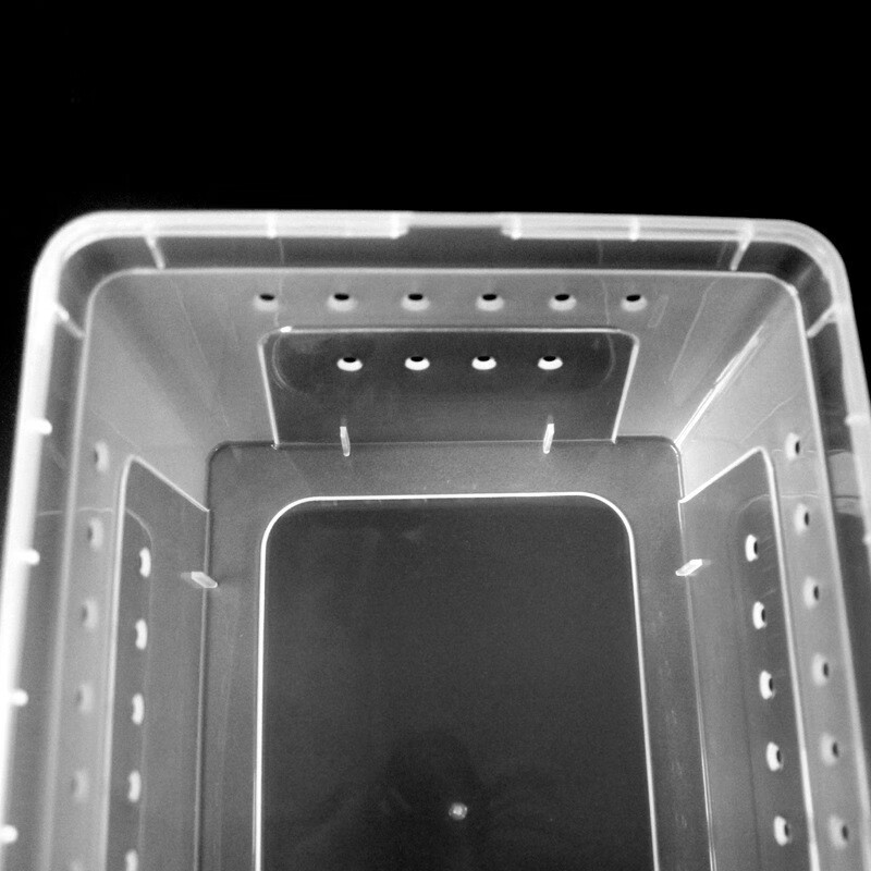 盒养蚕盒子蚕宝宝饲养盒放大镜观察箱透气带孔小蚕分养盒蚕卵孵化盒