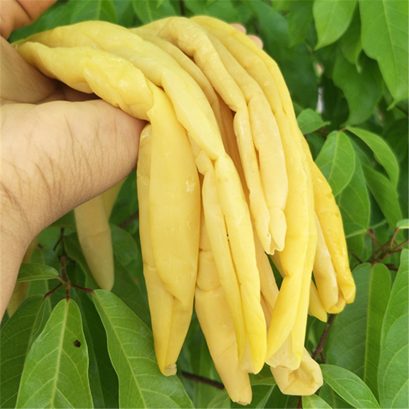 广西黄瓜皮博白农家手工腌制咸菜脆黄瓜皮下饭菜咸菜非钦州黄瓜皮1斤