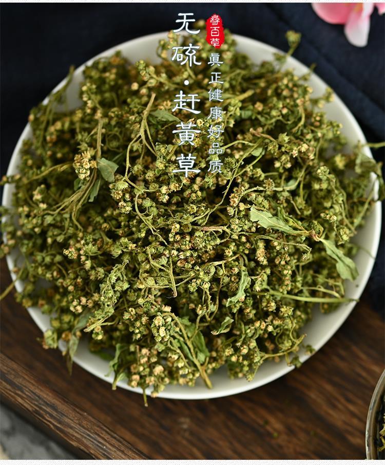 赶黄草归经图片