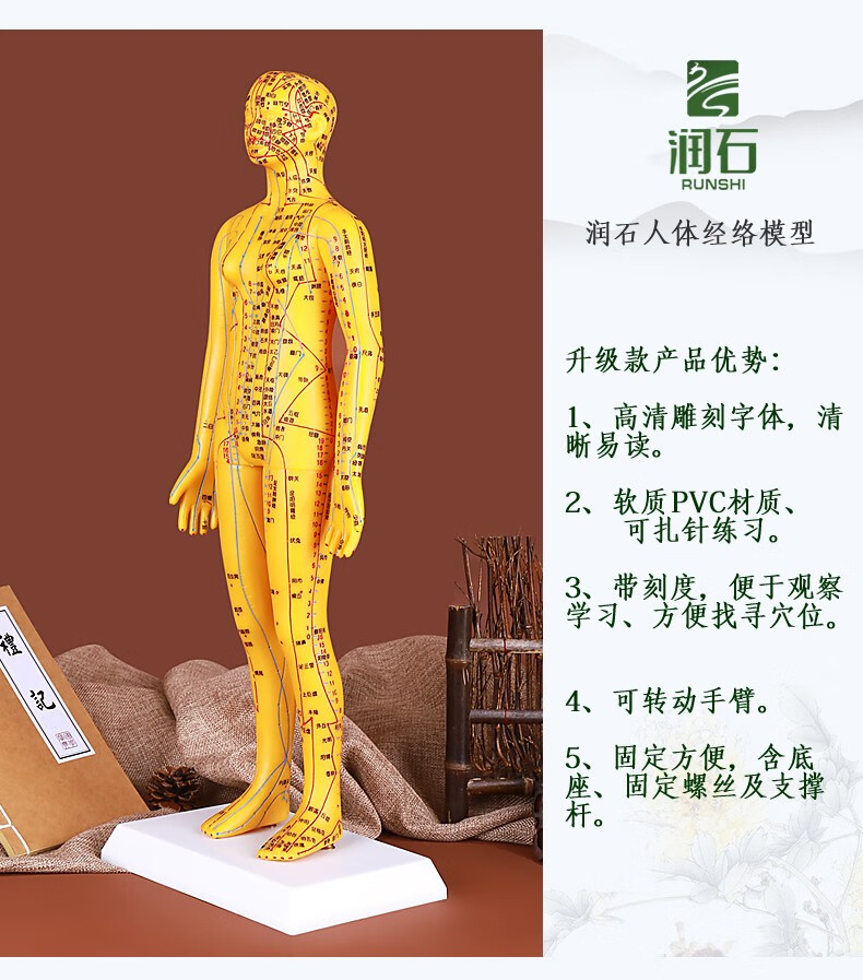 润石白铜色人体针灸模型经络穴位模型中医经络图全身扎练习针灸针小皮