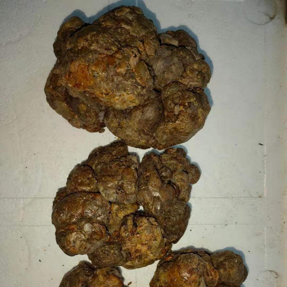 亏本卖啦蜂胶纯毛胶蜂胶原胶天然蜂胶木框采集不含重金属50克可泡酒原