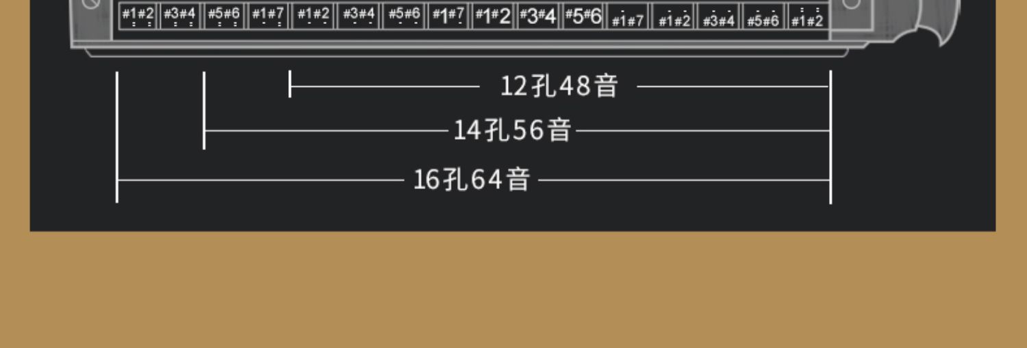 天鹅口琴半音阶16孔c调男士女学生初学者专业演奏级乐器 56音