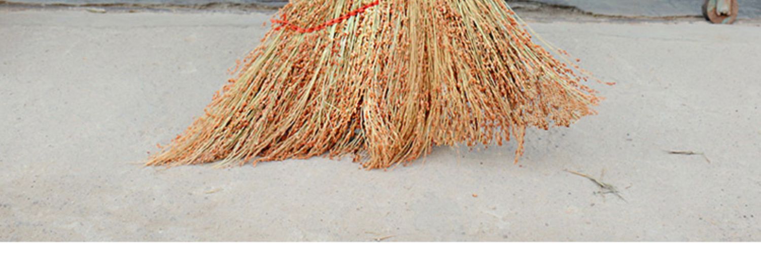 扫把家用纯手工红高粱做的小扫把单位学校加厚扫地扫帚苗麦桑荷 8号
