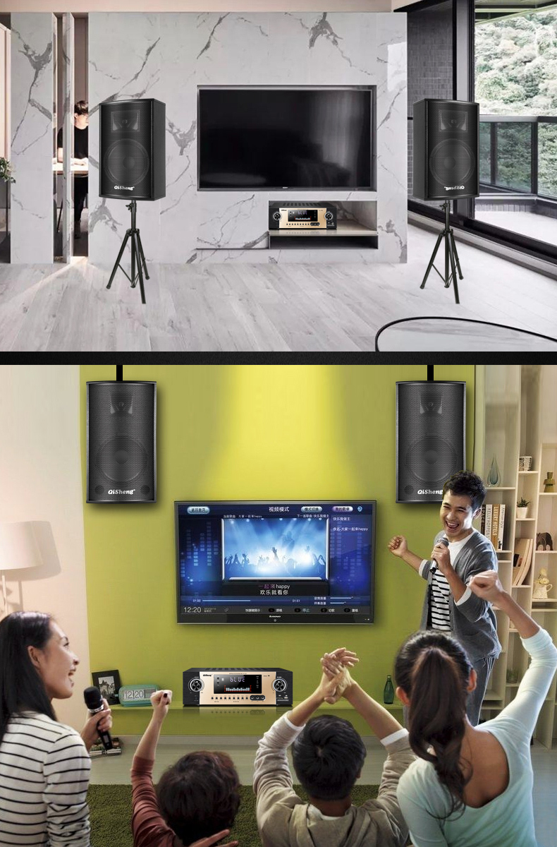 奇声新款家庭ktv12寸音响套装功放会议卡包音箱设备家用全套卡拉ok