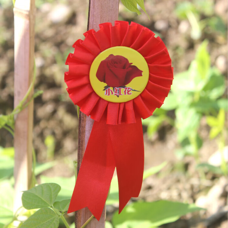 小红花胸花别针小学生幼儿园开学礼物大花朵学校教师奖励勋章礼品10朵