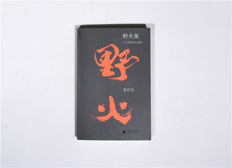 正版速发b野火集三十周年纪念版龙应台针砭时弊挑战体制威权烧灼国人