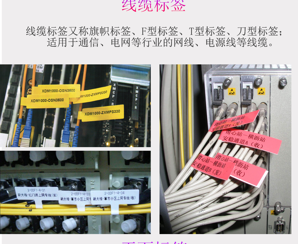 线缆标签贴纸f型t型p型刀型标签电信移动联通通信不干胶标签尾纤网线