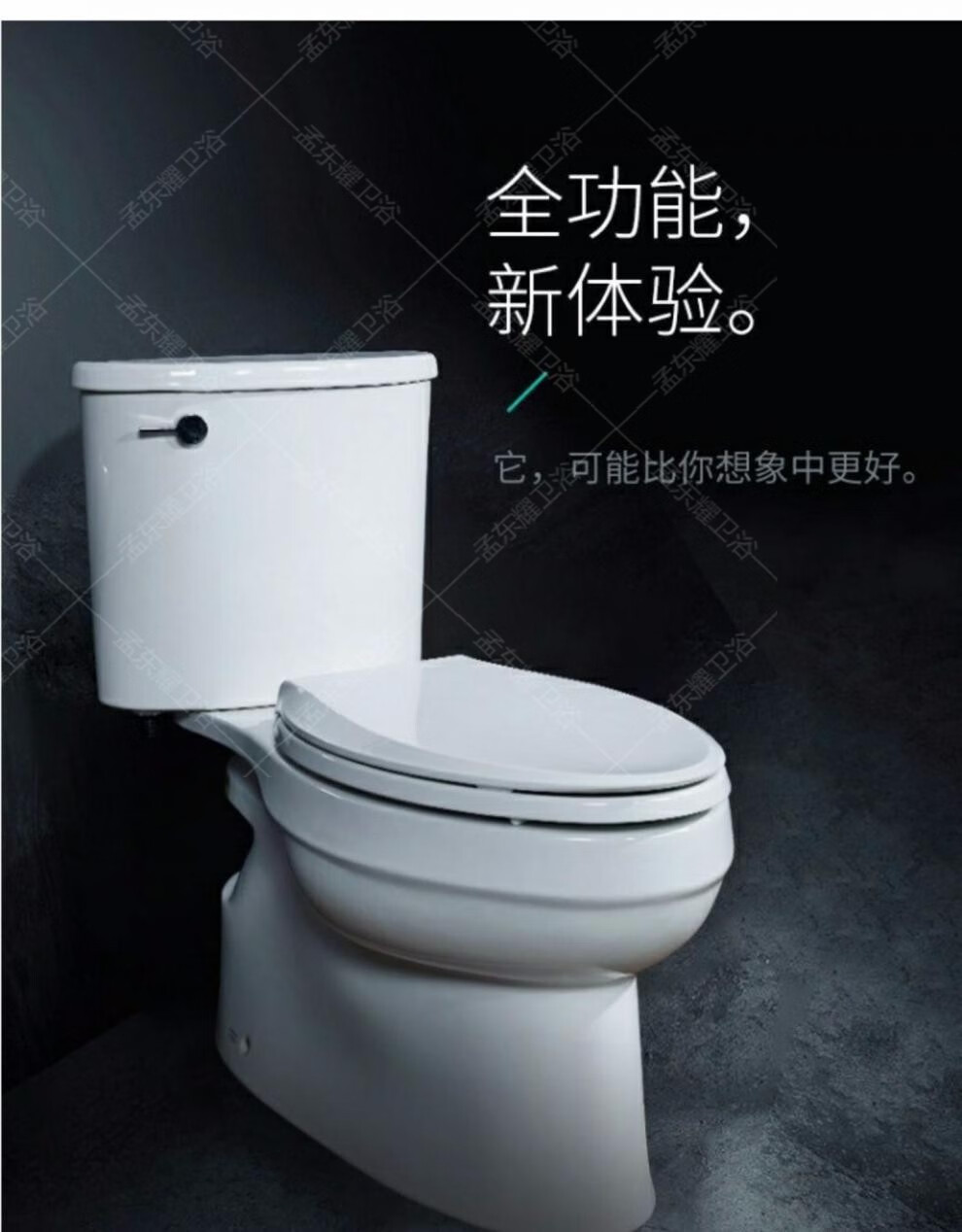 科勒(kohler) 科勒马桶艾黛儿丽裙版分体坐便器座便器k-8699t-s-0/k