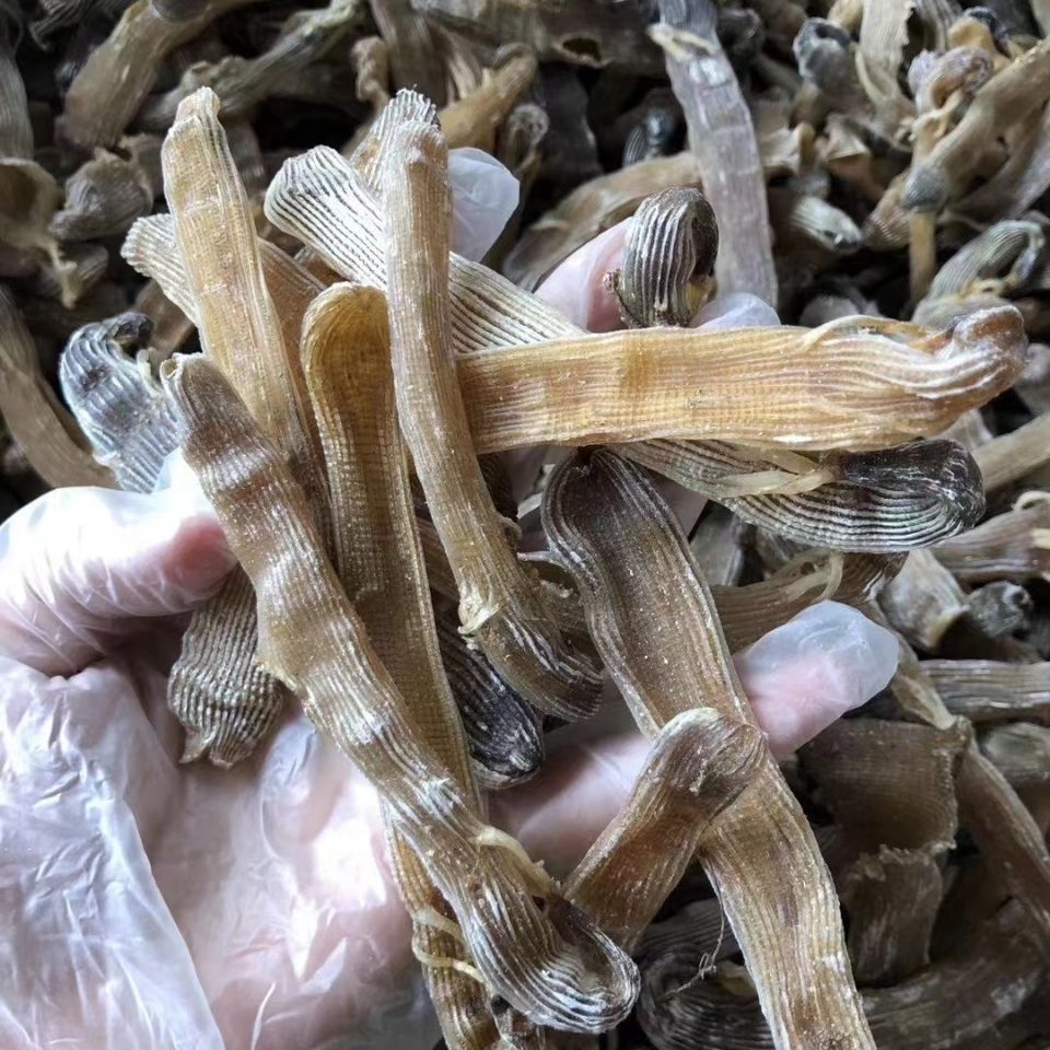 沙虫干原色黑沙虫天然沙虫干海肠子海蚕北海沙虫海鲜粥海味粥50克