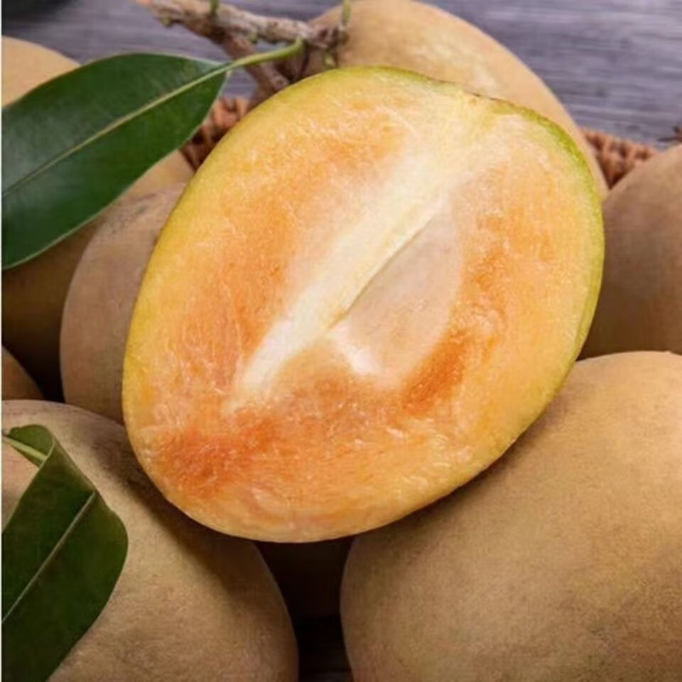 海南人心果养生圣果新鲜果园现摘非常甜热带水果稀奇稀有水果2斤装