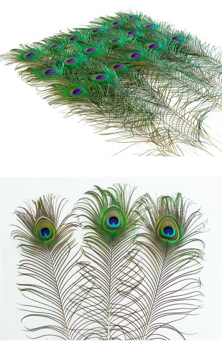 真孔雀羽毛翎尾大眼睛diy饰品家居摆设客厅婚庆花瓶装饰品 闪金花瓶