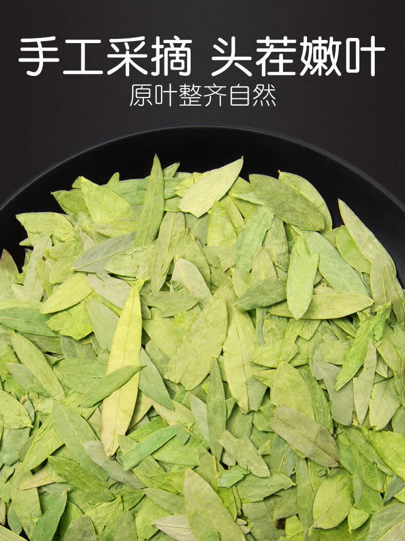 伟博番泻叶便秘泄泻叶刮肠油茶f非特生特级 番泻叶茶 番泻叶2罐装