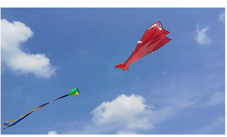 3d立体软体风筝气球无骨抗大风大型超大鲸鱼特大巨型大人专用软体蓝色