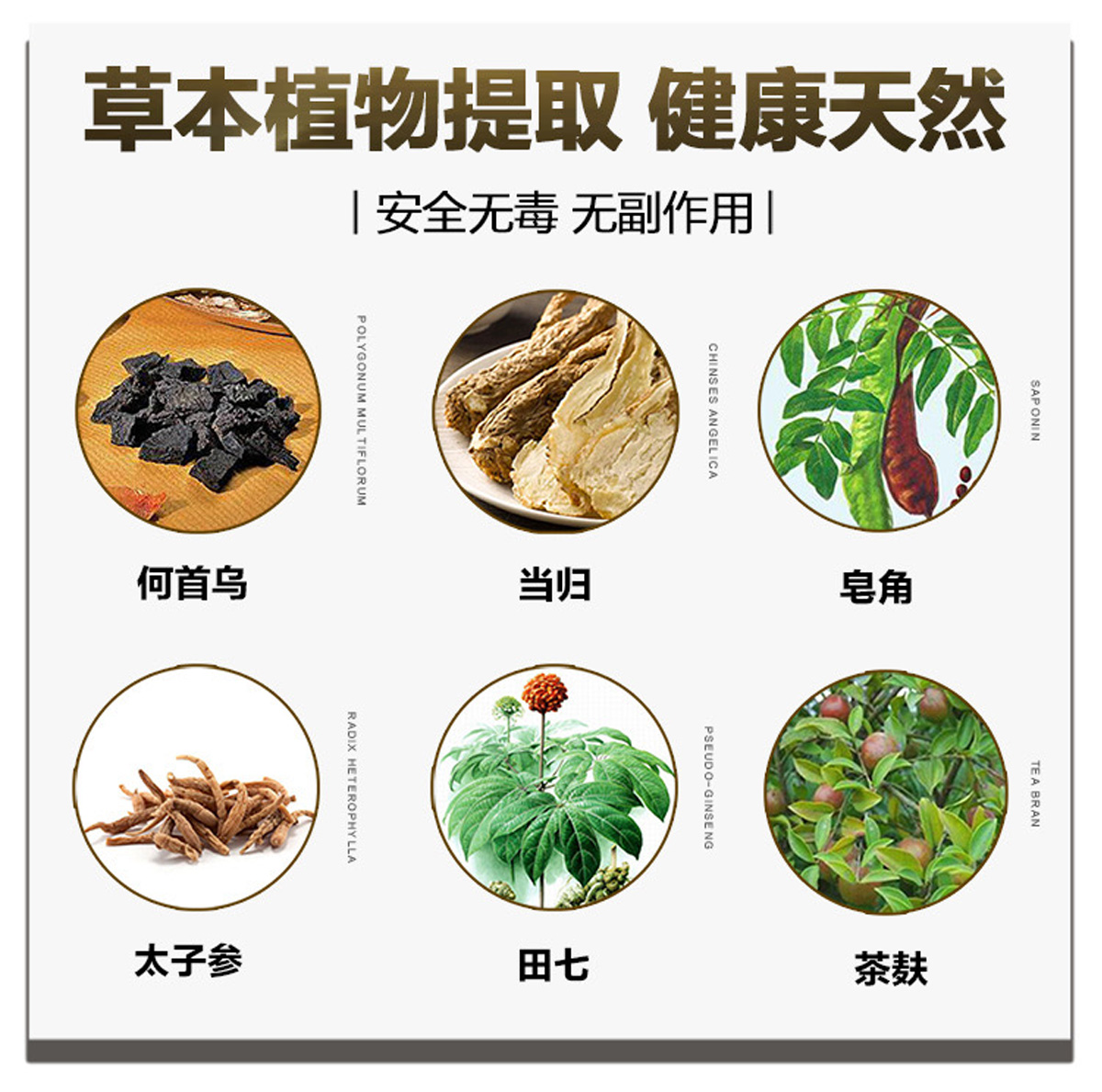 中华禅洗植然魅图片