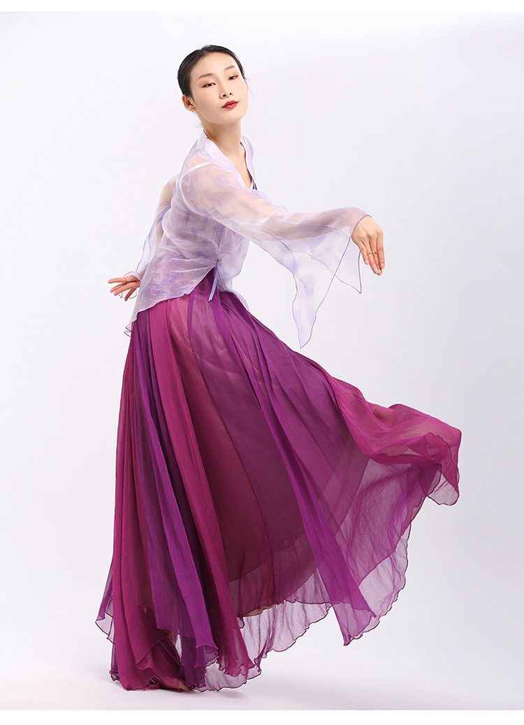 古典舞蹈服女飘逸练功服汉唐中国舞纱衣身韵服大摆裙演出服套装上衣浅