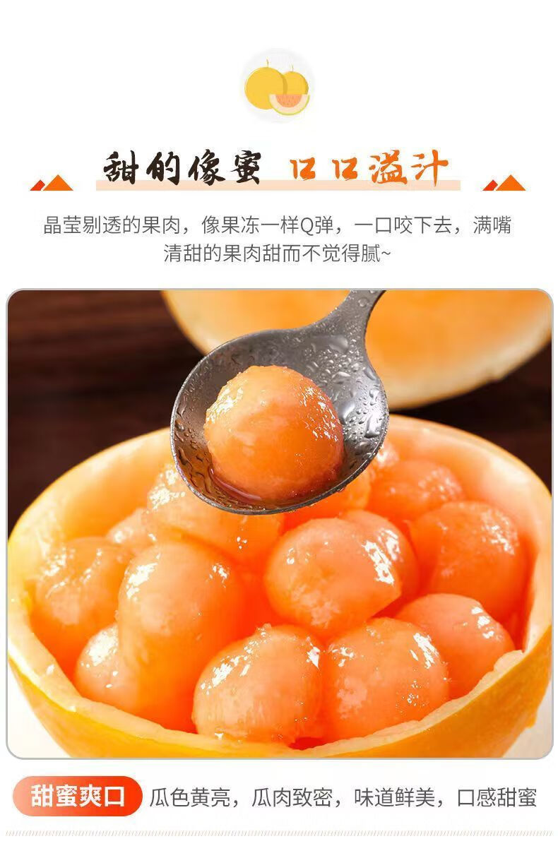 【爆甜多汁】现摘黄河蜜瓜新鲜水果黄金蜜香瓜孕妇吃的整箱批发 机选