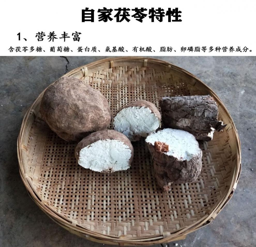 整个茯苓白茯苓带皮湿茯苓中药材湿气茯苓块绿健园4斤新鲜茯苓2000克