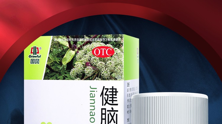 顺丰】国风健脑丸 100丸/盒 心悸失眠 头晕目眩 养血安神 记忆减退