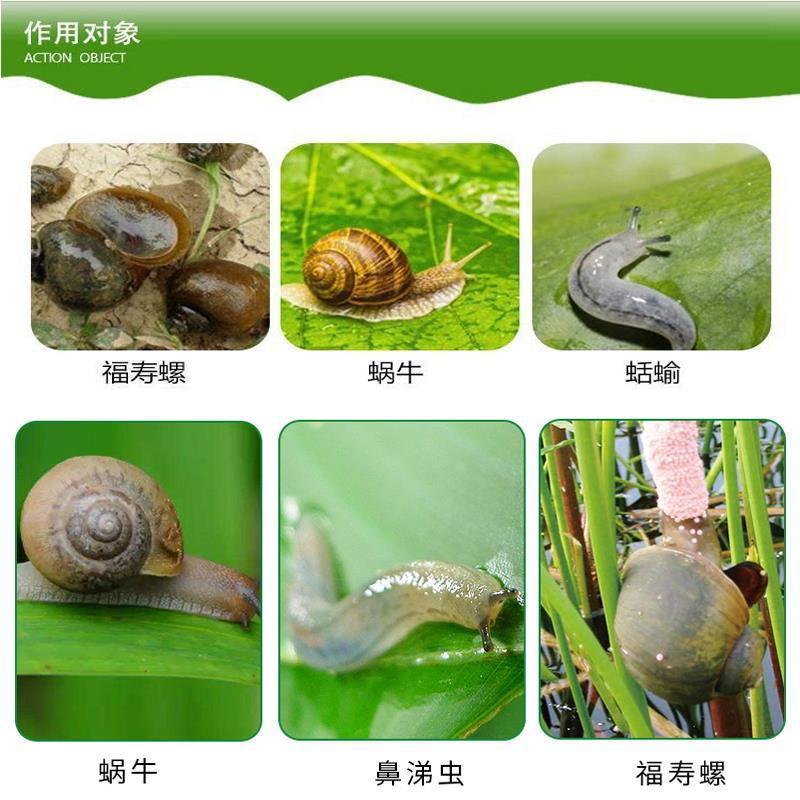 83%杀螺胺乙醇胺盐福寿螺杀灭虫剂药蜗牛鼻涕虫钉螺软体害虫40克 40g