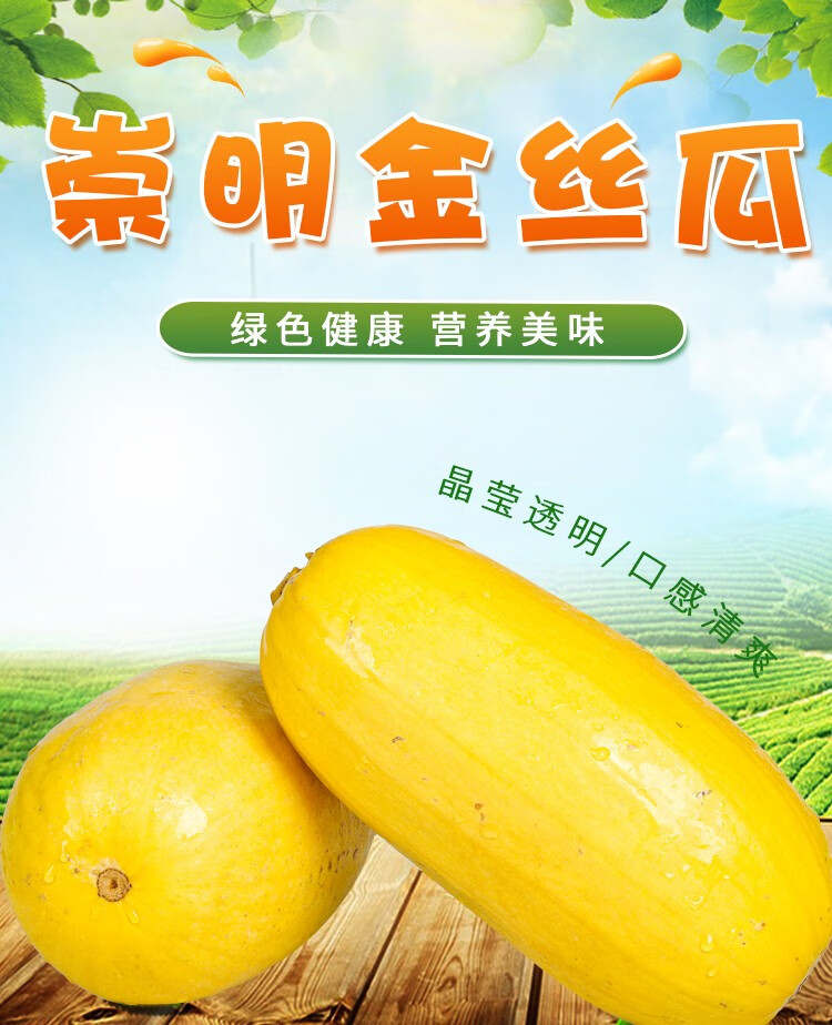 金丝瓜上海崇明搅瓜黄金瓜新鲜蔬菜蒸煮食用 2-2.5kg