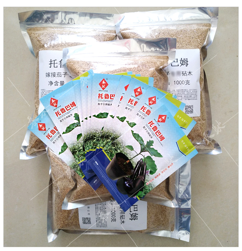 京丰嫁接茄子砧木种子托鲁巴姆野生茄子砧木种籽耐病出芽率高5克托鲁