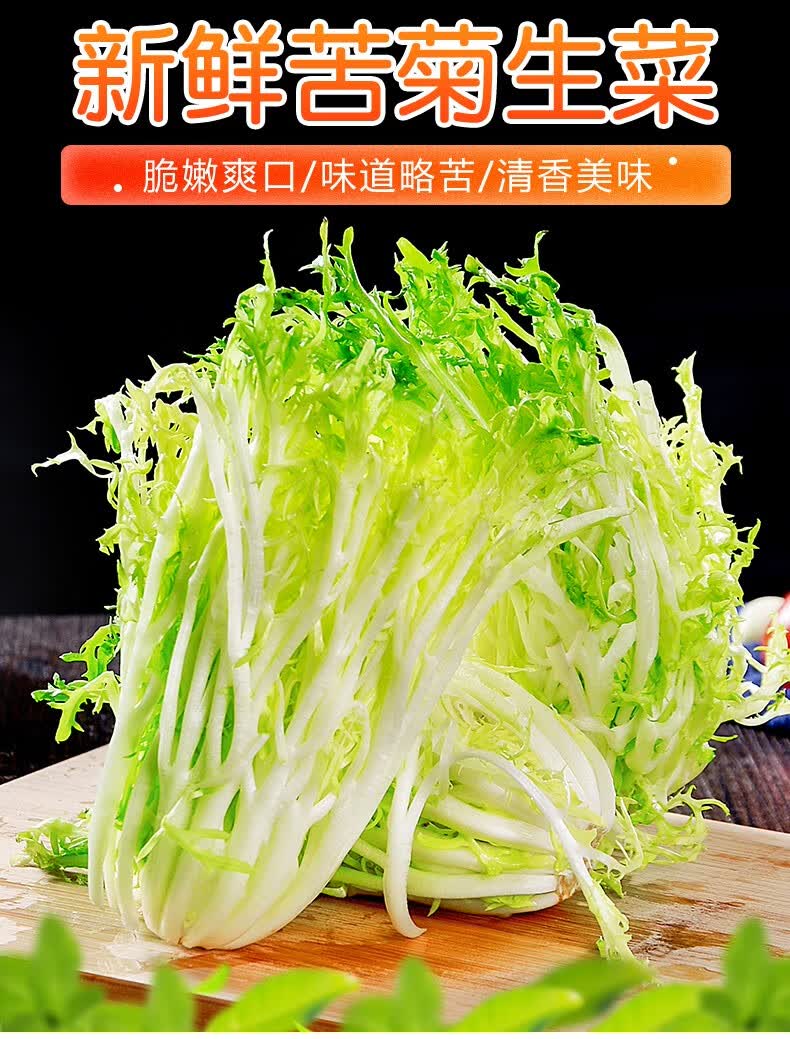 新鲜苦菊5斤装苦细叶生菜苦苣蜘蛛生菜狗牙九芽生菜沙拉蔬菜 2500