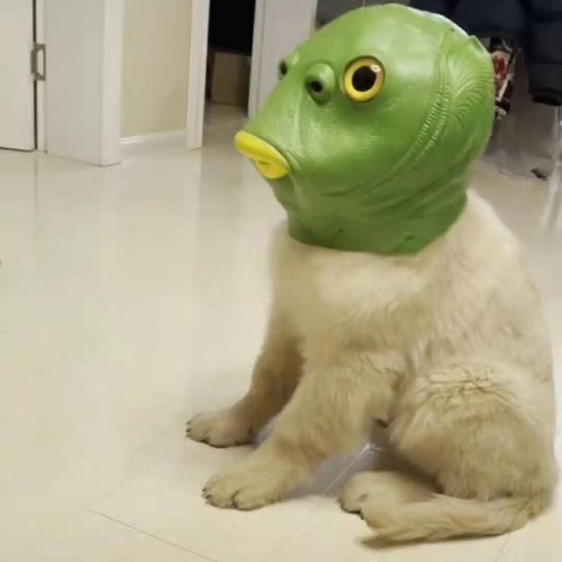 头套怪怪鱼绿鱼头套无异味面具宿舍男女搞怪笑沙雕动物鱼头怪网红酒吧