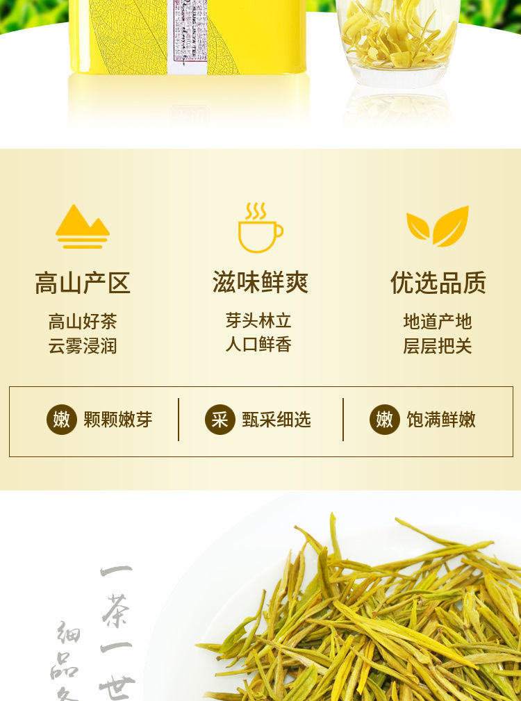正宗黄金芽茶叶2021新茶浓香毛尖嫩芽毛峰批发散装黄金茶礼盒 浓香