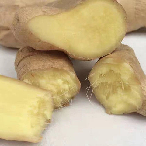 山东生姜老姜月子姜大黄姜无硫磺熏风干晾晒干姜姜块3斤