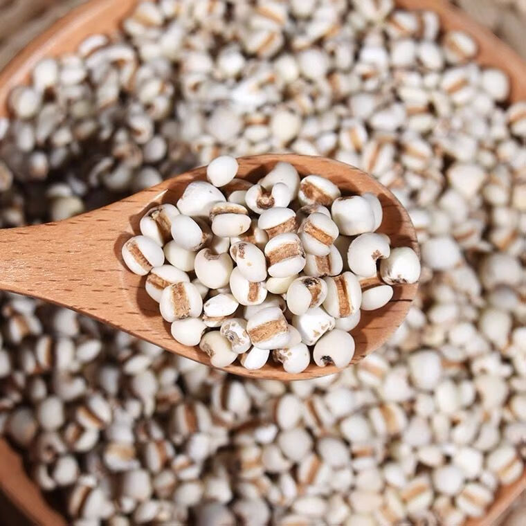 薏仁米薏米仁新米贵州大薏仁米50g500g搭配红豆赤豆五谷杂粮 精选薏米