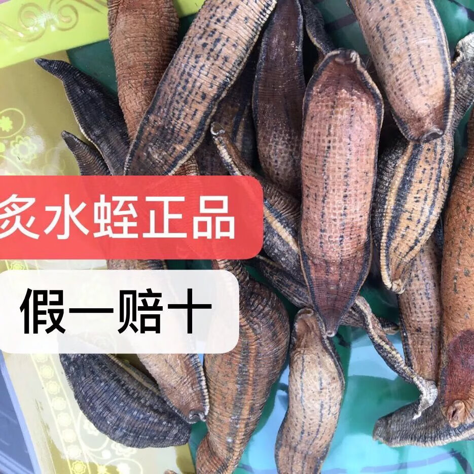 北京同仁堂原料中药材野生水蛭干货干品蚂蟥宽体金线蛭大水蛭非吊干可