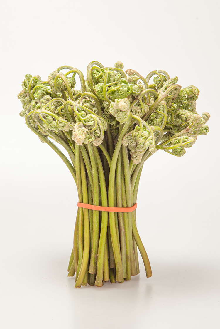 溪味道蕨菜250克真空速冻东北新鲜山野菜拳头菜龙爪菜农家蘸酱菜 250g