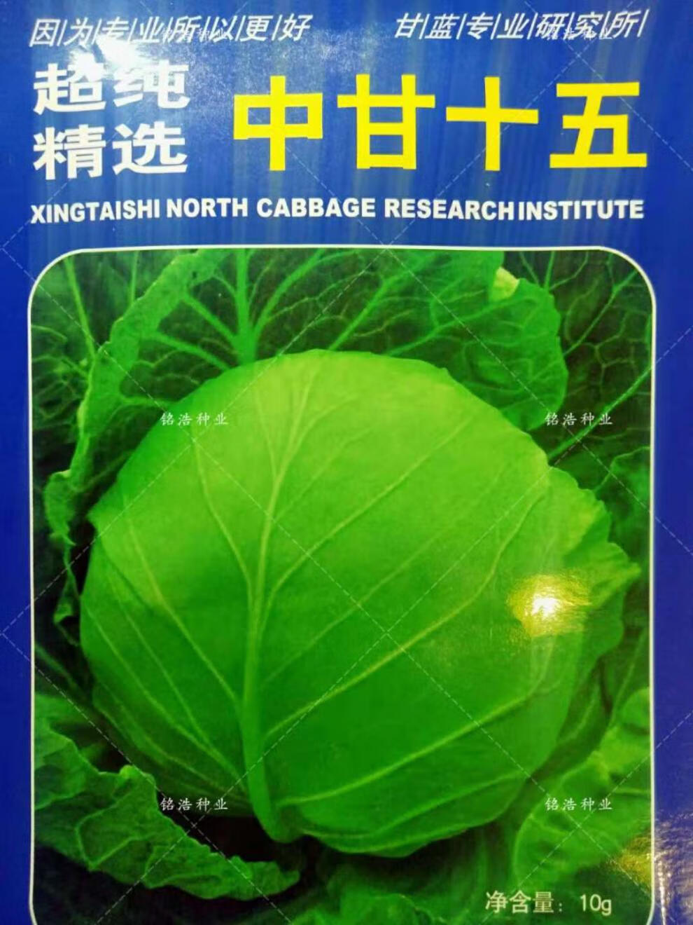 甘蓝种子卷心菜种子包心菜包菜种子包菜种子大头菜种子农家基地用绿霸
