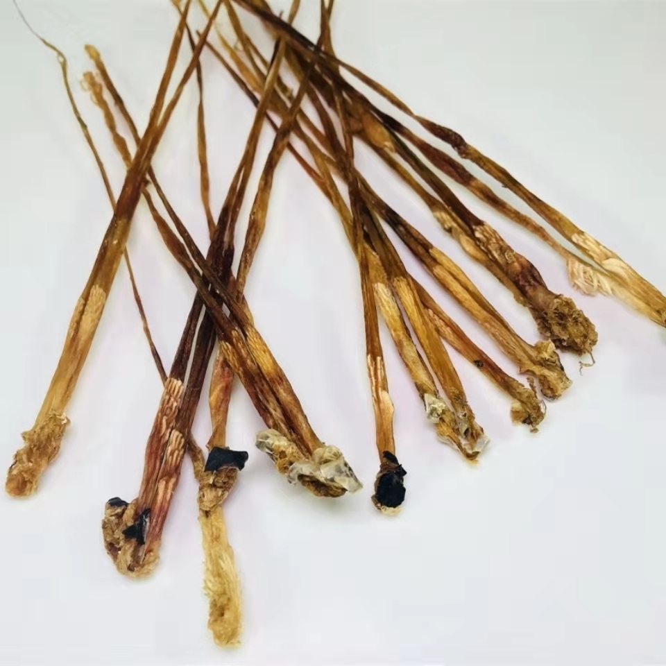 伟博中药材蛇鞭 100克大条泡酒男士新货蛇鞭干乌梢蛇蛇胆养生泡酒原料