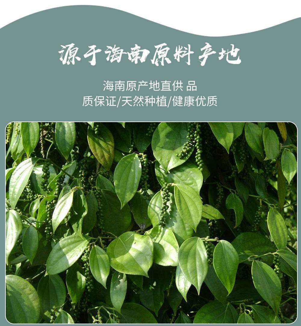 正宗海南特级精选白胡椒粒100g250g500g现磨胡椒粉100g二两装胡椒粒