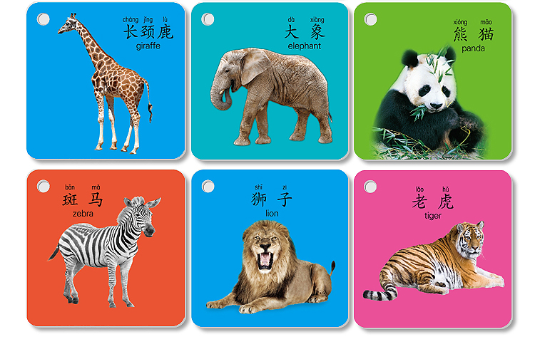 小孩子颜色认知卡片儿童识字卡片识图宝宝识别玩具彩色婴儿早教认知