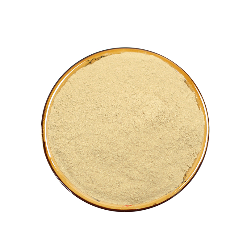 北京同仁堂黄芩粉中药材店铺100g散装黄芩黄芹食用黄芩茶 黄岑片山茶