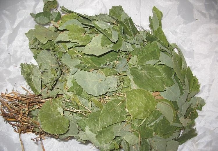 淫羊藿种子种植种籽淫羊藿苗淫羊藿中药材三枝九叶草 200粒种子【图片