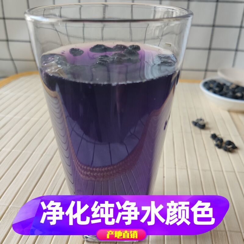 偉博黑枸杞子新疆特一級黑枸杞血泡水泡酒大果一斤500g