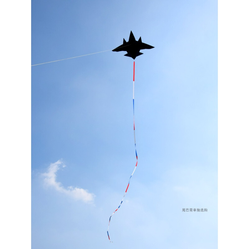 新款歼15隐形飞机风筝初学儿童微风易飞大型立体长尾战机小黑200米线