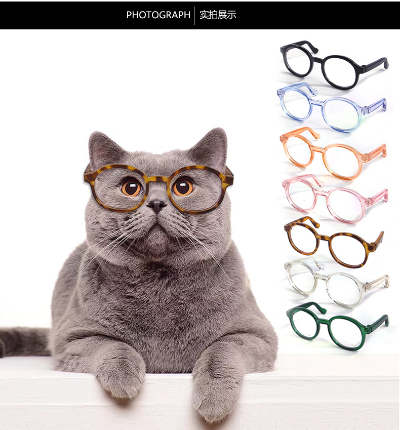 盼我pandada猫咪眼镜拍照道具装饰品宠物眼镜框狗狗泰迪博美个性搞怪