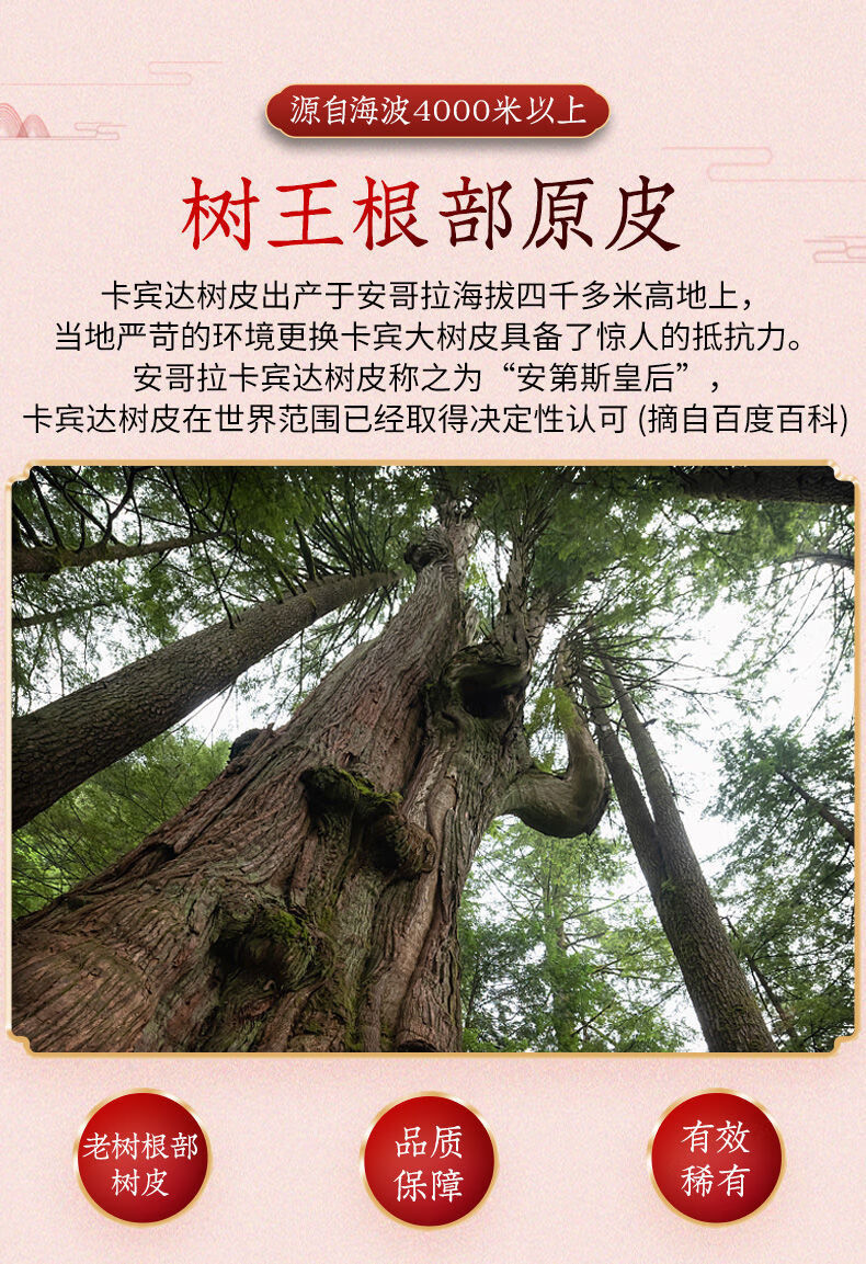 伟博【测有效】安哥拉卡宾达树皮正宗野生特厚卡宾达泡酒 1.