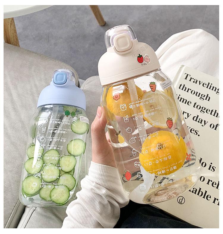 饮水杯成人夏日水杯杯子网红水杯大容量女生高颜值带吸管防摔大便携