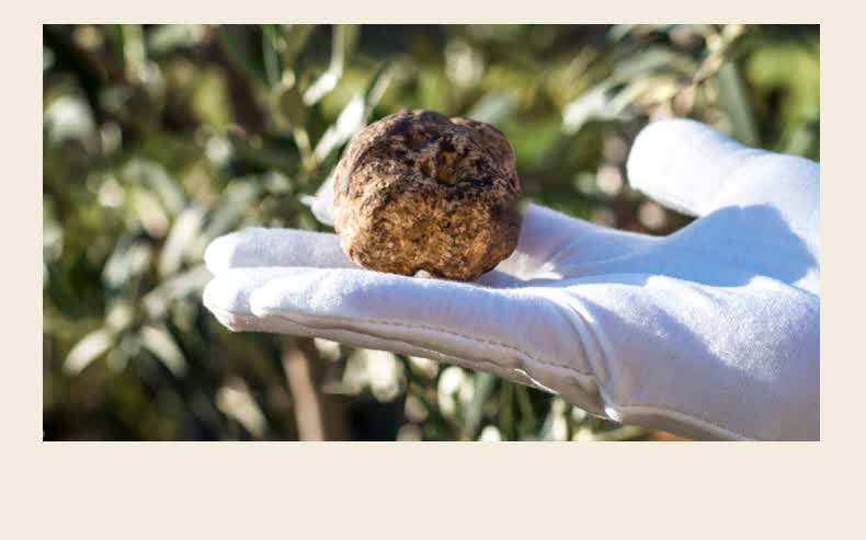 蝶莲娜delena白松露抗皱修护套装护肤品洗面奶水乳面霜补水保湿女男